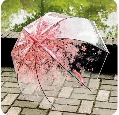 چتر شکوفه 